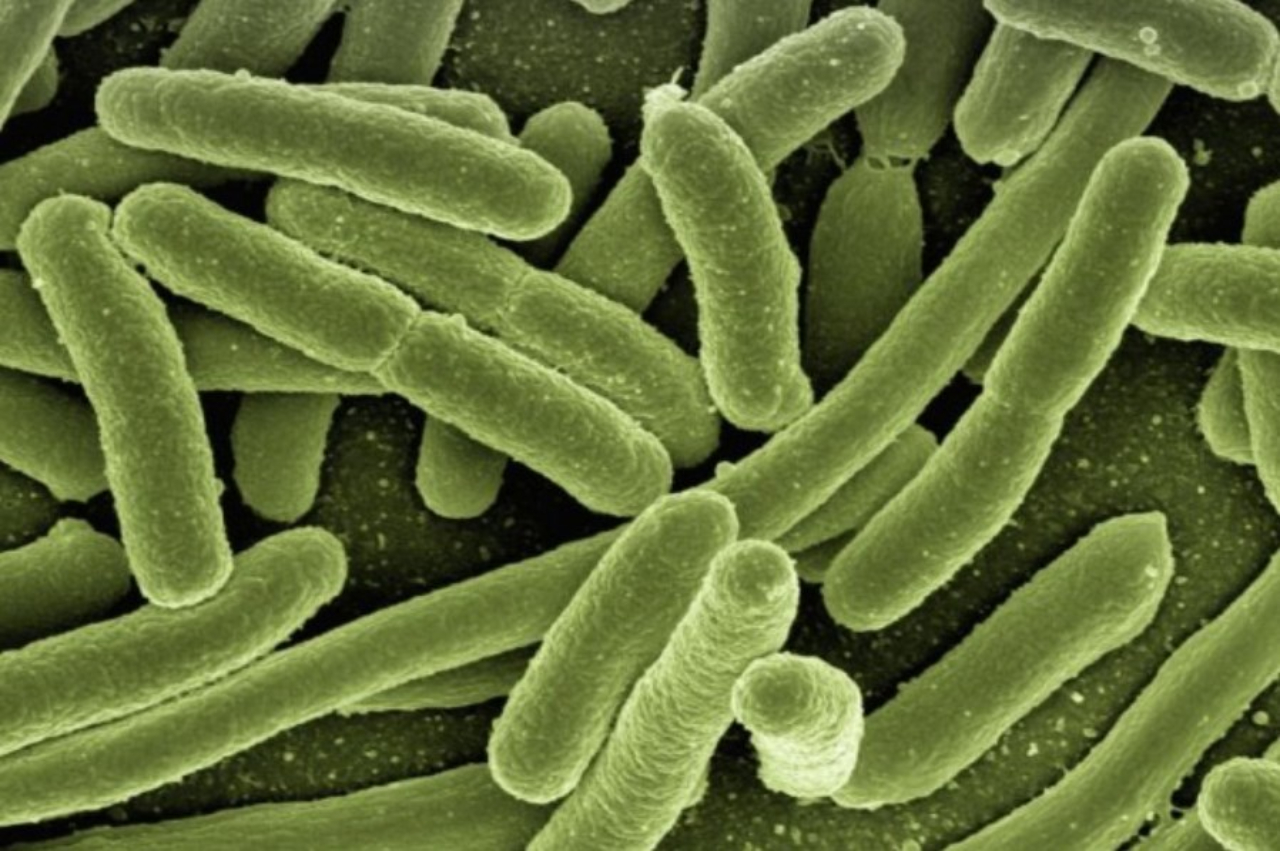 Resistansi Antimikroba Menyebabkan 5 Juta Kematian Per Tahun