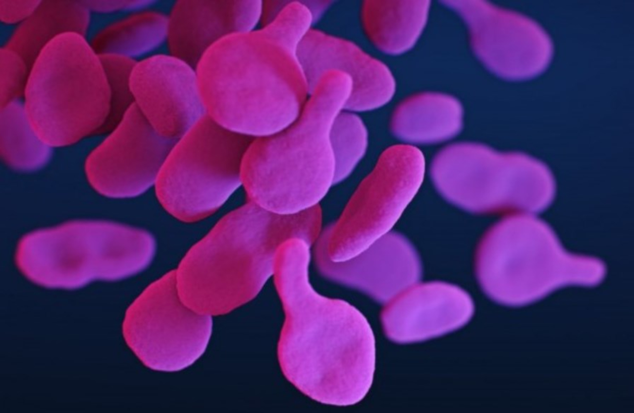 Resistansi Antimikroba adalah Ancaman Kesehatan Global Menurut WHO
