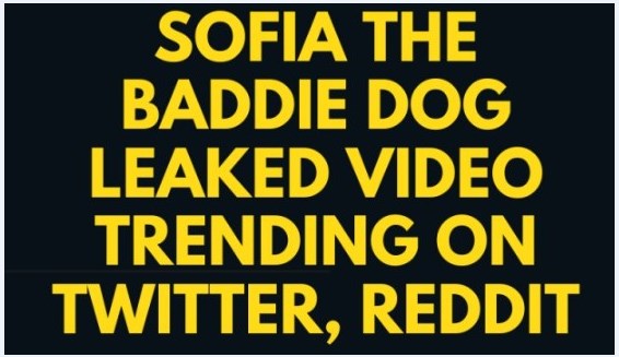 {New} Leaked Full Sofia The Baddie Dog Video Watch Link on Twitter @Pbrleaks